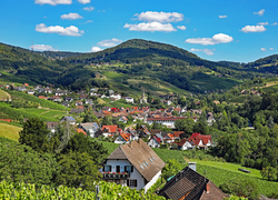 Schwarzwald