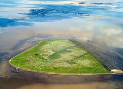 Hallig Südfall (DLZ)