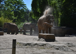 Hamburg - Hagenbecks Tierpark